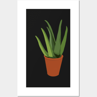 Aloe vera Posters and Art